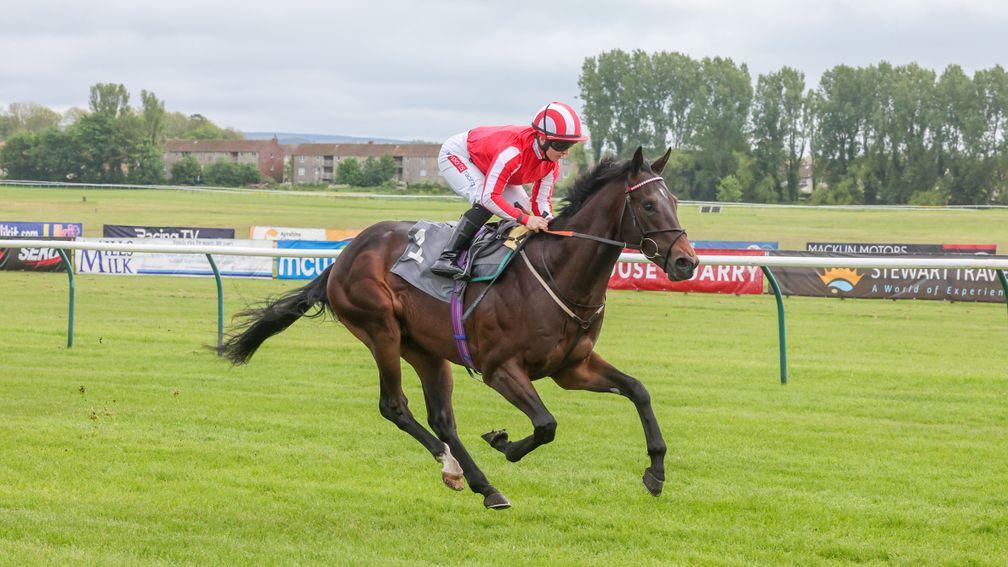 Army Ethos strides clear in a six-furlong maiden at Ayr
