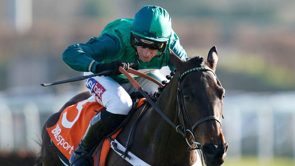Fusil Raffles: has been ruled out of the Cheltenham Festival