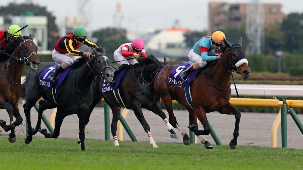 Almond Eye and Christophe Lemaire storm to success in the Tenno Sho Autumn at Tokyo