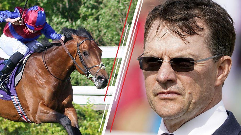 Alfred Munnings made a very impressive debut at Leopardstown for Aidan O'Brien