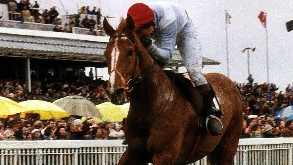 Seagram and Nigel Hawke win the 1991 Grand National at Aintree