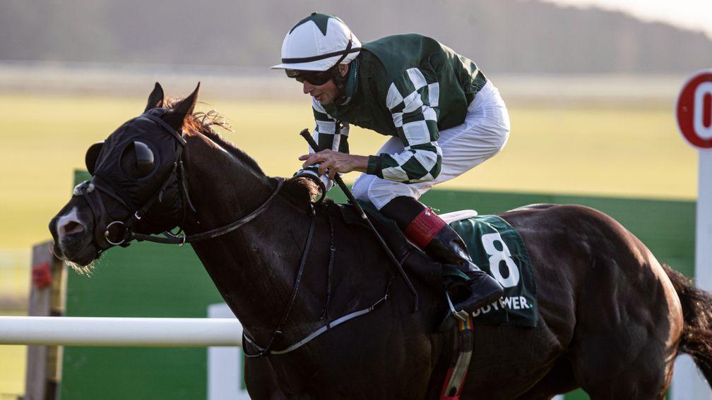 Bopedro: one to back in the Royal Hunt Cup?