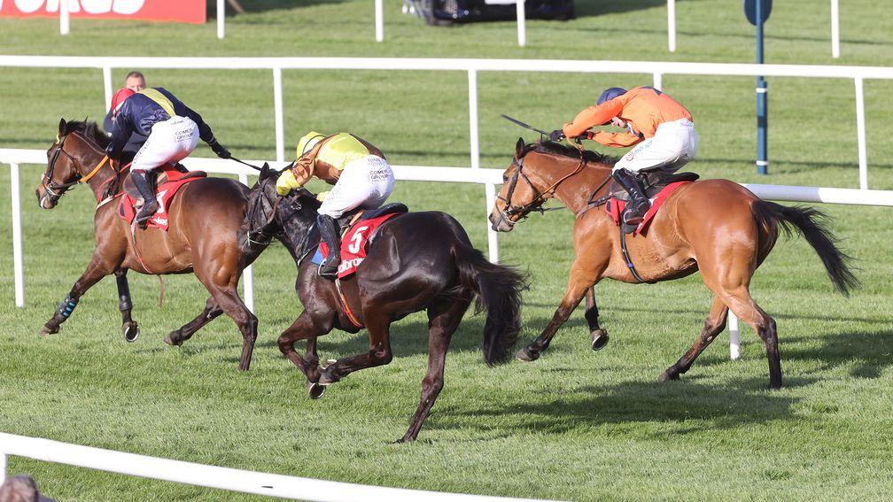 Punchestown Wed 26 April 2023 Fastorslow ridden by JJ Slevin racing away from the last fence to win The Ladbrokes Punchestown Gold Cup from Galopin Des Champs ridden by Paul Townend, 2nd, and Bravemansgame ridden by Harry Cobden, 3rd. Photo.carolinenorris.ie