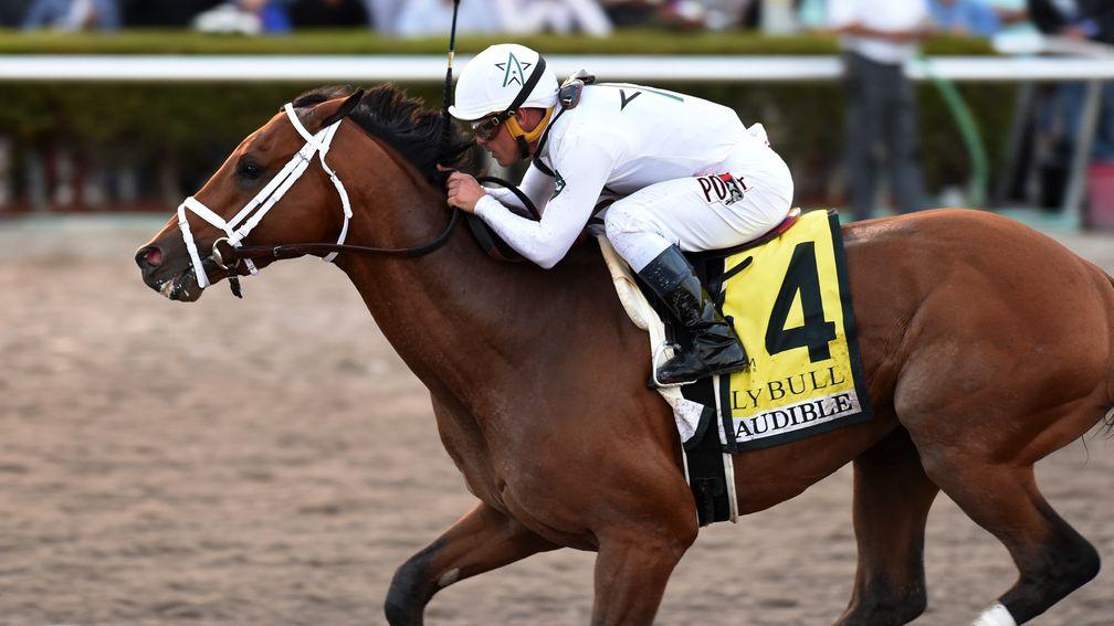 Holy Bull winner Audible added the Florida Derby to his CV