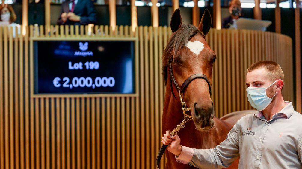 Lot 199: the Galileo brother to Magic Wand brings €2,000,000 in the Arqana ring