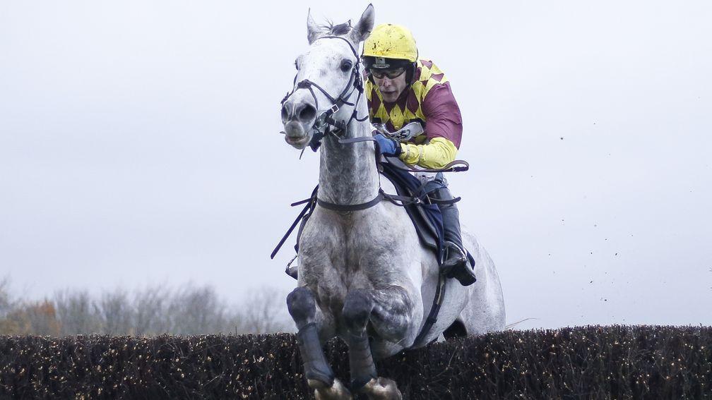 Ramses De Teillee: will adore the underfoot conditions at Cheltenham