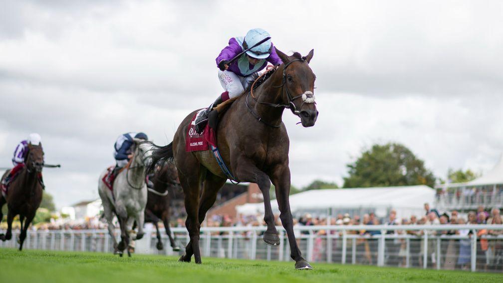 Alcohol Free: impressive winner of Sussex Stakes