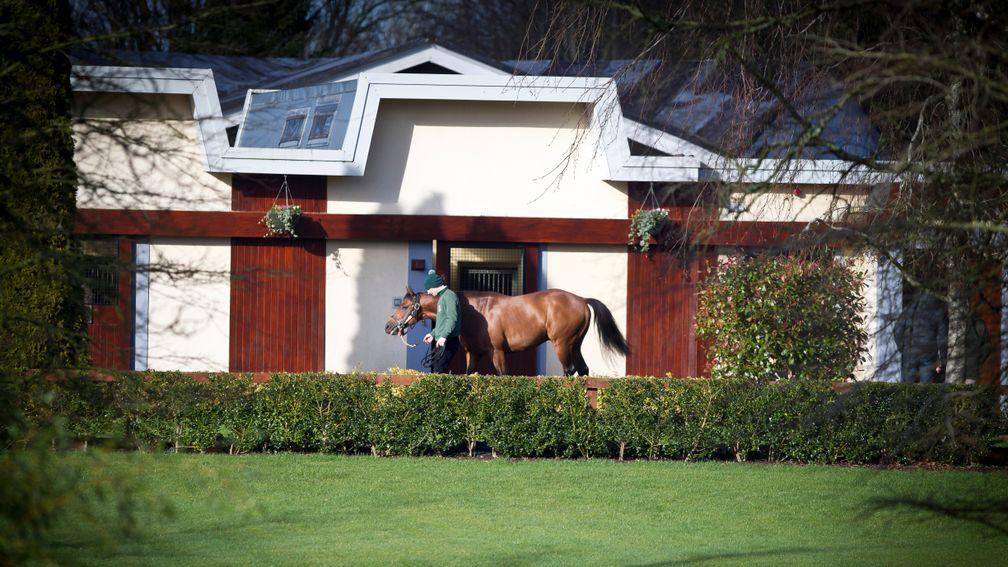 Irish National Stud resident Gale force Ten is represented by Cloud Seeding at Goodwood