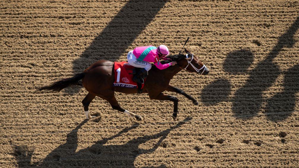 Breeders' Cup hero City Of Light has been a highlight for West