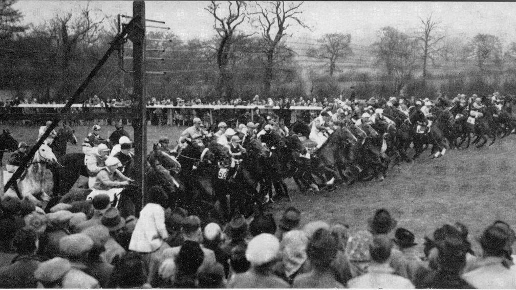 World record: 58 runners lined up for the 1948 Lincolnshire Handicap