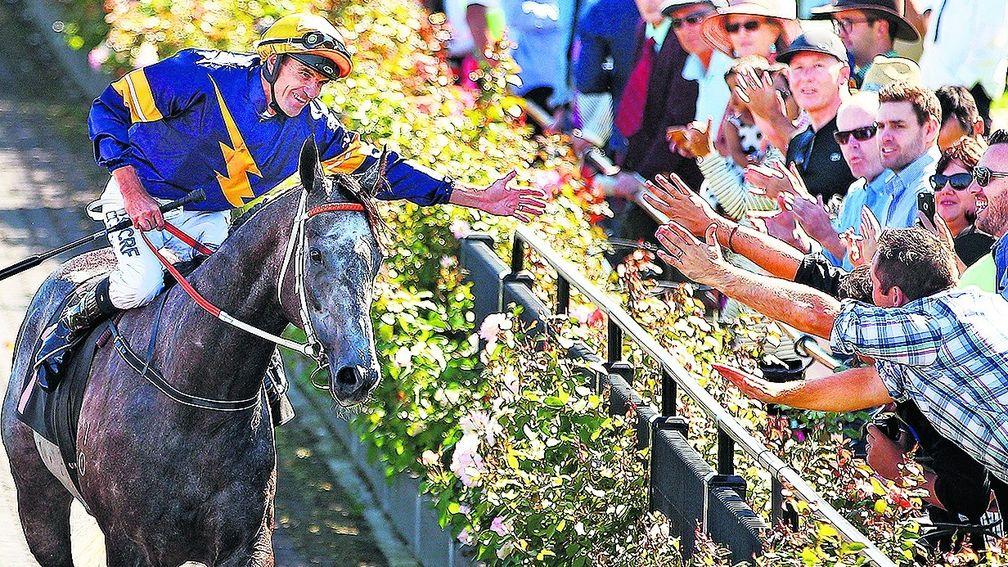 Chautauqua: Australia's top-rated sprinter has been unplaced both starts this season - but has won the last three runnings of the TJ Smith Stakes over the Everest course and distance in April