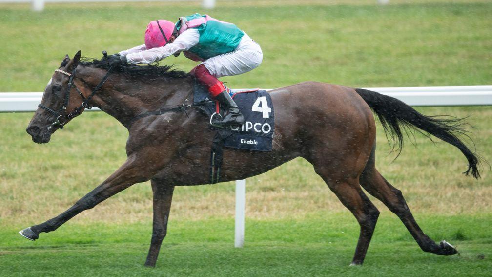 Enable's half-brother Derab will make his first racecourse appearance at Ascot on Friday
