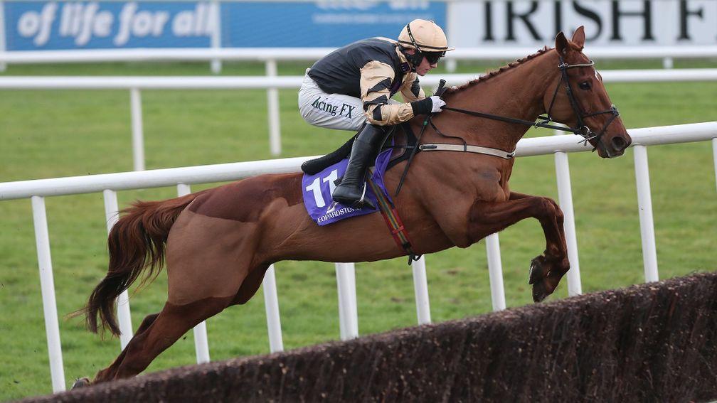 Yorkhill: the Champion Hurdle is on the cards, but no decision has yet been made