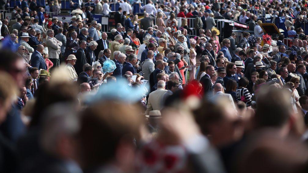 Crowds for Saturday's racing could top Super Saturday earlier in the month