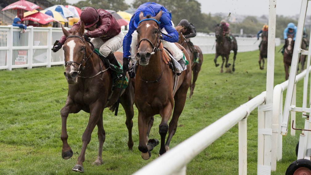 Panstarr (right) gets the better of Ship Of Dreams in the Listed Listowel Stakes