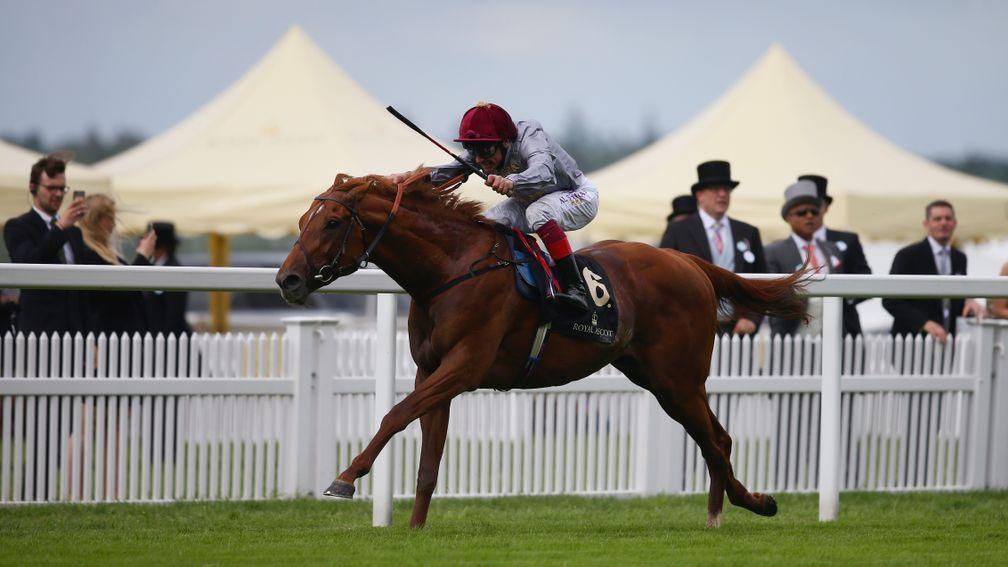 Galileo Gold: represented by two runners, including Ebro River