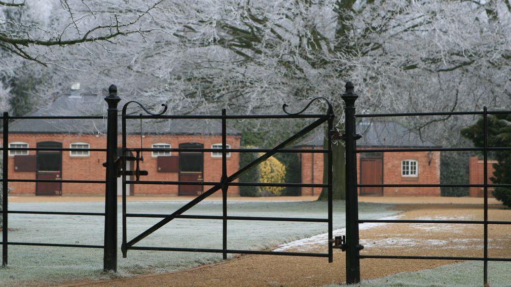 Another frosty morning at Banstead Manor Stud