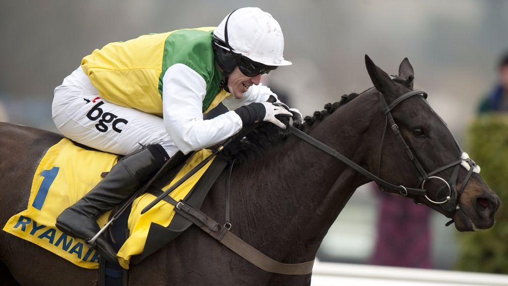 Cheltenham champ: Albertas Run won three times at the festival, including two Ryanair Chases