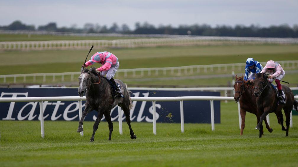 Phoenix Of Spain wins the 2019 Irish 2,000 Guineas: organisers hope to hold the 2020 running on its scheduled date