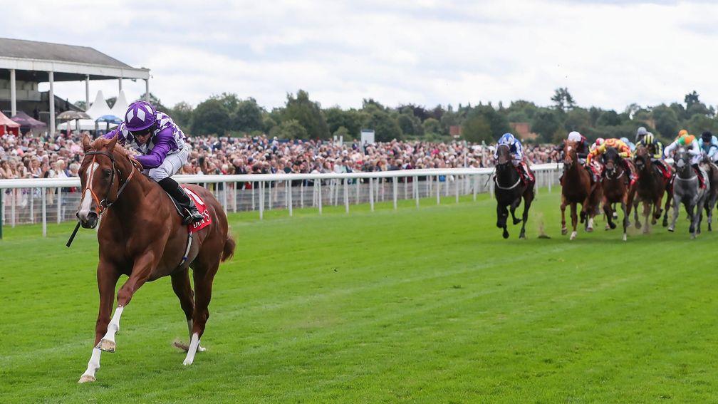 Mums Tipple: ran away with a sales race at York in 2019