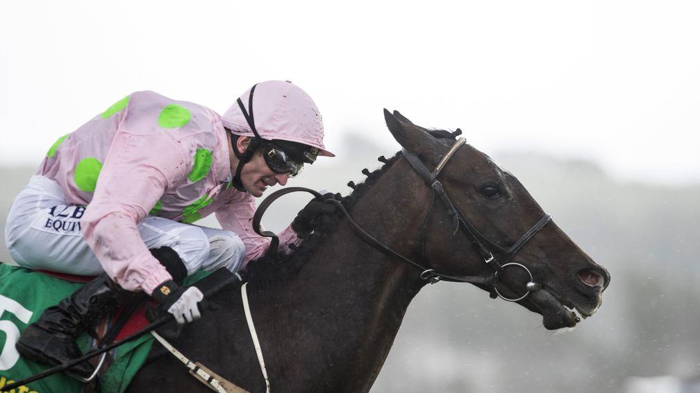 Riven Light: victorious at the Galway festival last time out