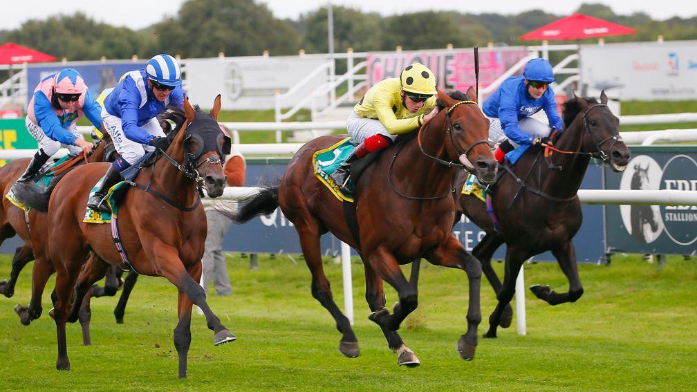 Apparate (yellow) lands the Mallard Stakes, one of the major handicaps at Doncaster's St Leger festival in line for an increase in prize-money
