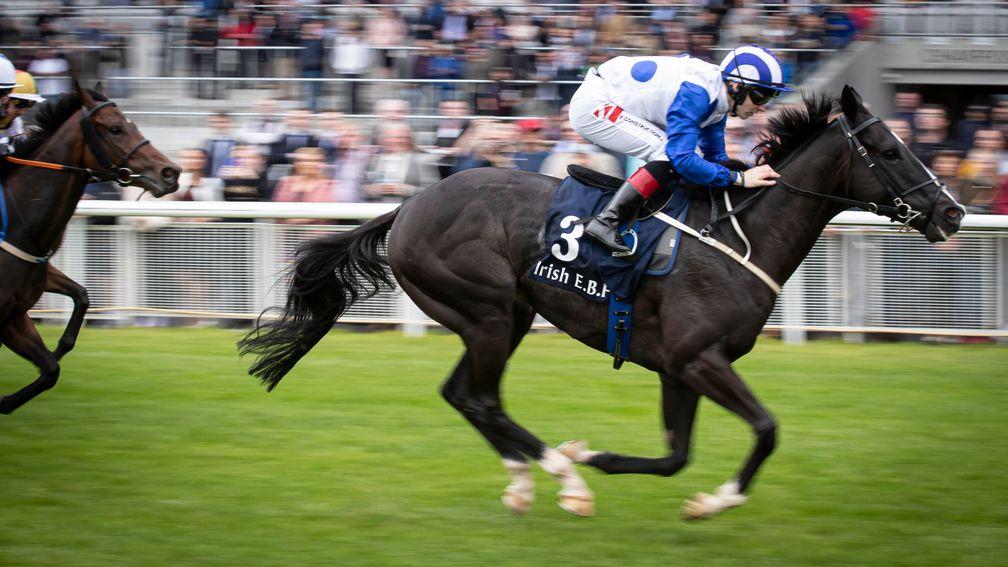 Buffer Zone: recent winner at the Curragh
