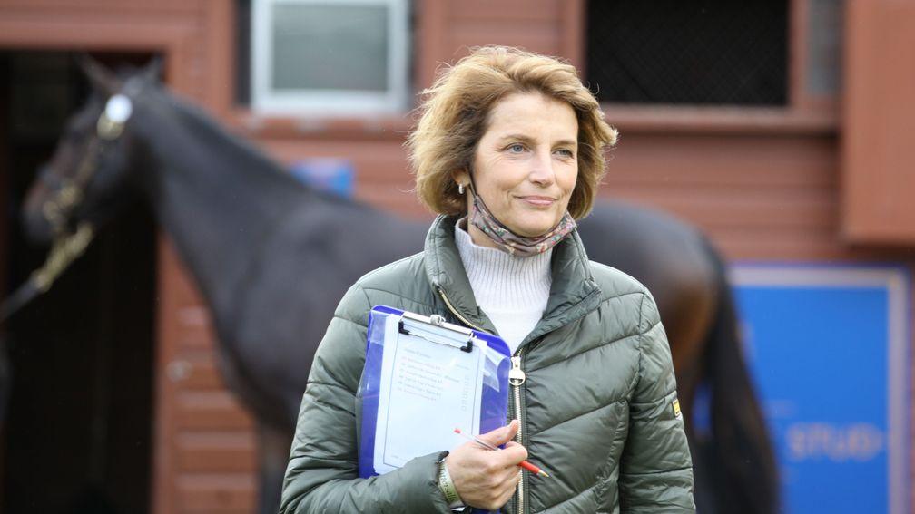 Lady Carolyn Warren: 'She's an amazing mare'