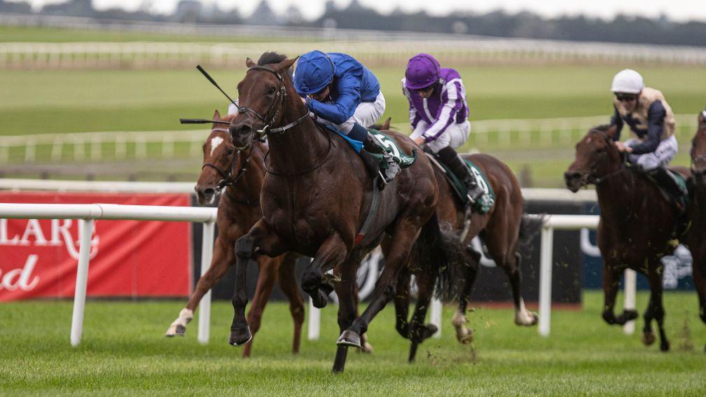 Native Trail and William Buick land the Goffs Vincent OâBrien National Stakes (Group 1). The Curragh Racecourse.Photo: Patrick McCann/Racing Post12.09.2021