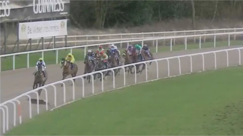 The second deer follows its partner in dashing in front of the field at Newcastle