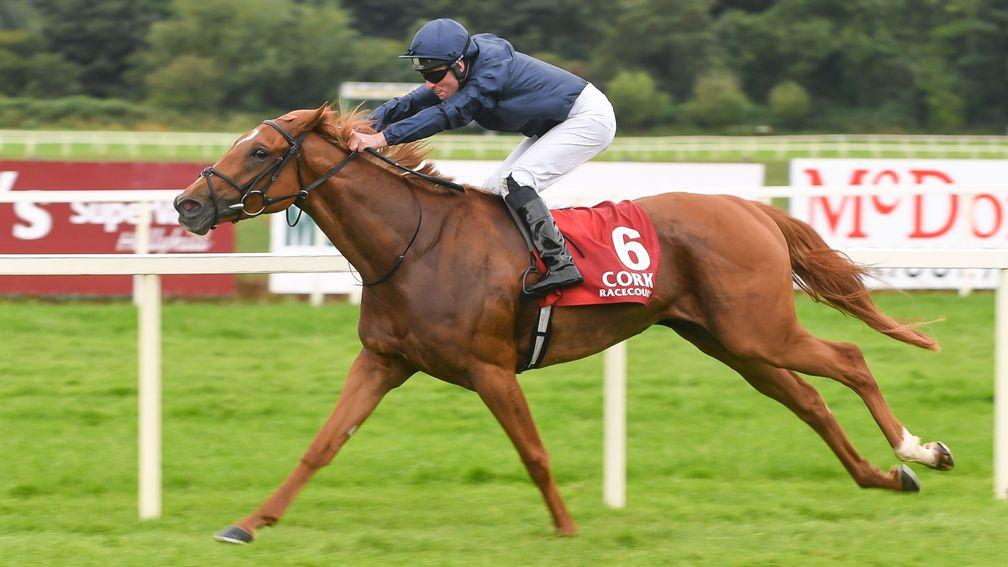 Sizzling records her first Group win in the Give Thanks Stakes at Cork - a 328th European Pattern win for progeny of Galileo