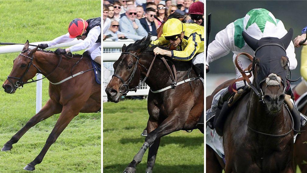 From left: Homeless Songs, Perfect Power and Hoo Ya Mal could be in action at Ascot on Friday