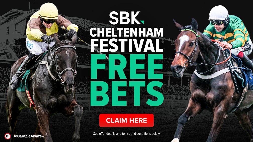 SBK Cheltenham Festival Free Bets