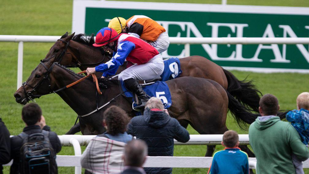 Gustavus Weston and Gary Carroll just prevails in the Phoenix Sprint Stakes at the Curragh