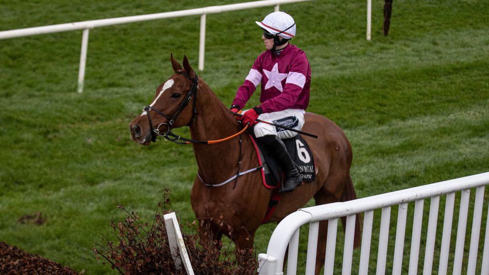 Samcro: disappointed in the Galway Plate