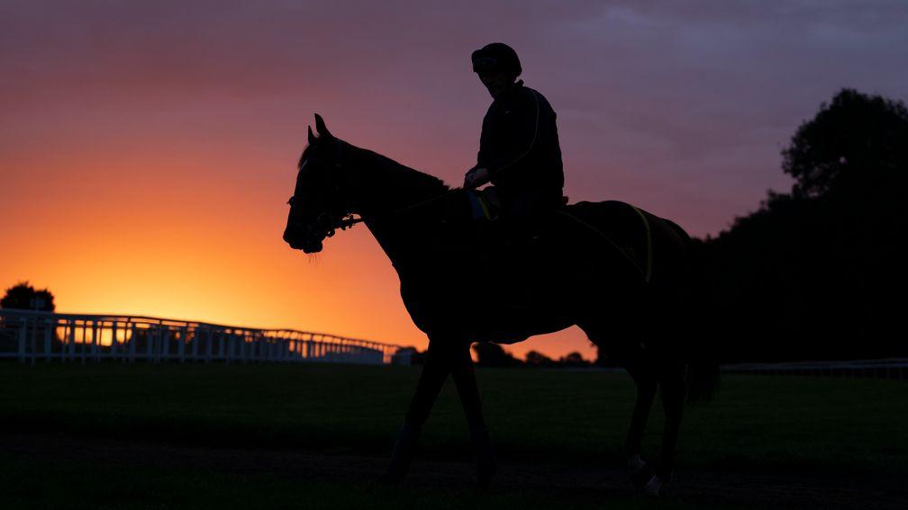 Final Choice, a racehorse bred by The Queen is ridden across Epsom racecourse at dawn break by his owner Michael JeffriesEpsom 19.9.22 Pic: Edward Whitaker