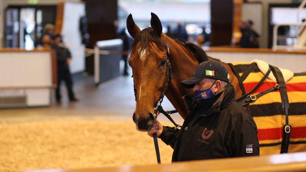 Lot 623: the 200,000gns Keats is knocked down to Armando Duarte and Ballymore Stables