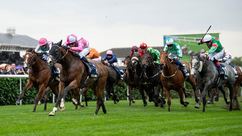A Momentofmadness (pink): winner of this race in 2018