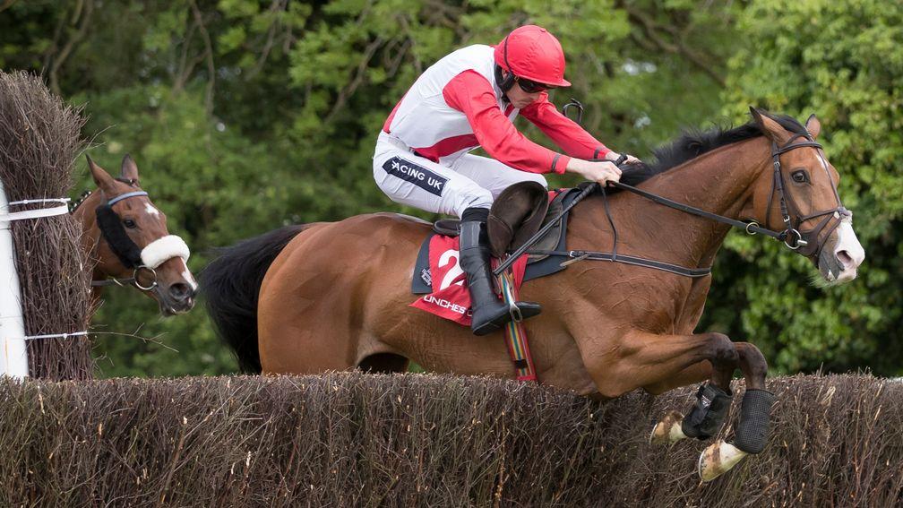 Sandymount Duke: his efficient jumping will be a big asset in the Galway Plate