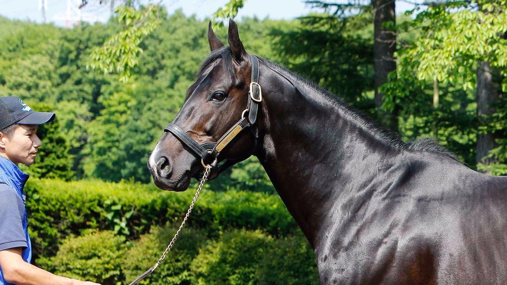 Novellist: already off the mark as a freshman even though his progeny should be late bloomers