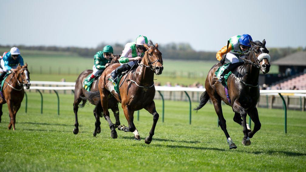 Forest Ranger (right) gets the better of Deauville in the Earl of Sefton Stakes at Newmarket