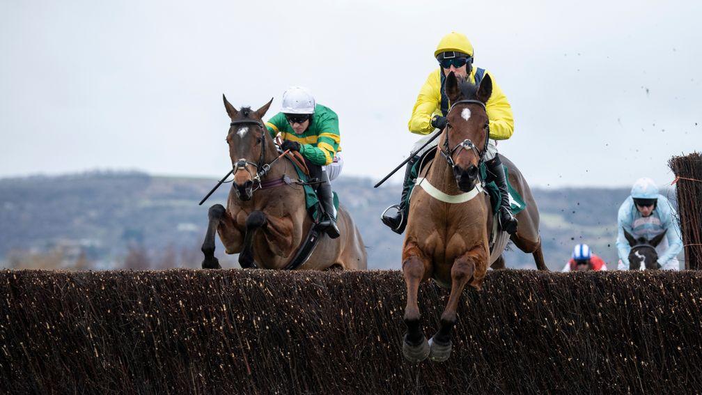 Lostintranslation (yellow): striking victory in the Dipper Novices' Chase