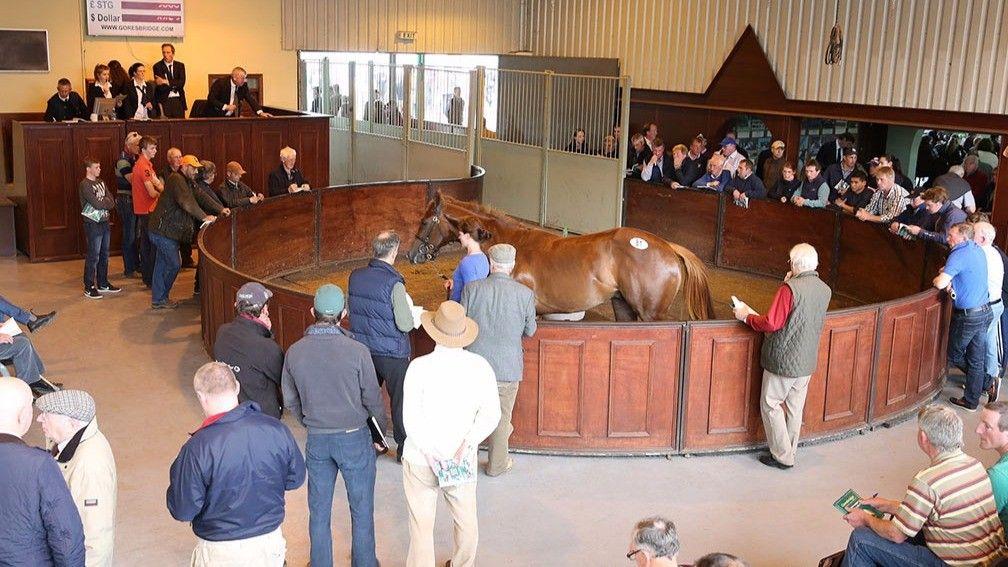 Figures rose across-the-board for the Goresbridge July Sale on Friday