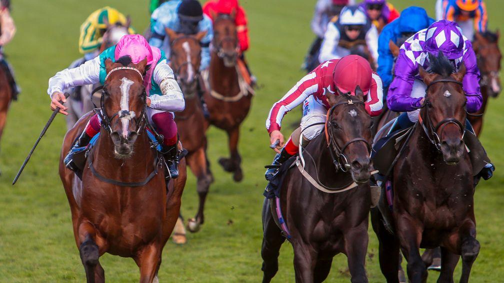 First Eleven (left): unlucky at Royal Ascot and bids to make amends