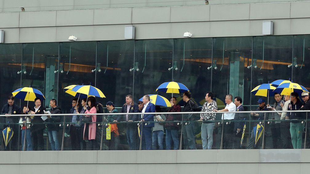 Prospective buyers assemble to watch the lots be put through their paces at Sha Tin