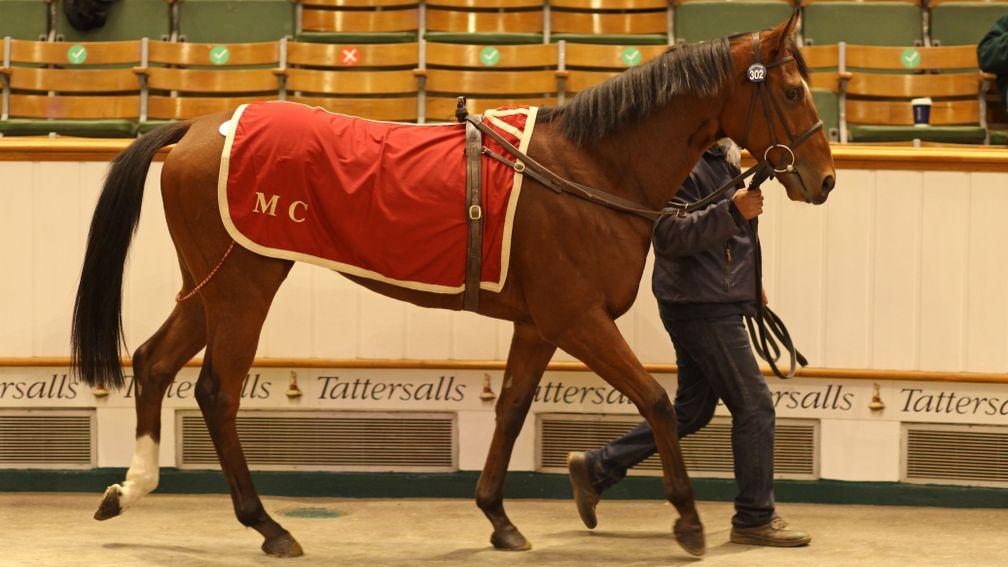 Nastase: the Listed-winning two-year-old sells for 120,000gns