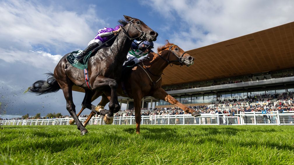 Zavateri (right) emerged on top in the National Stakes, one of the races of the weekend