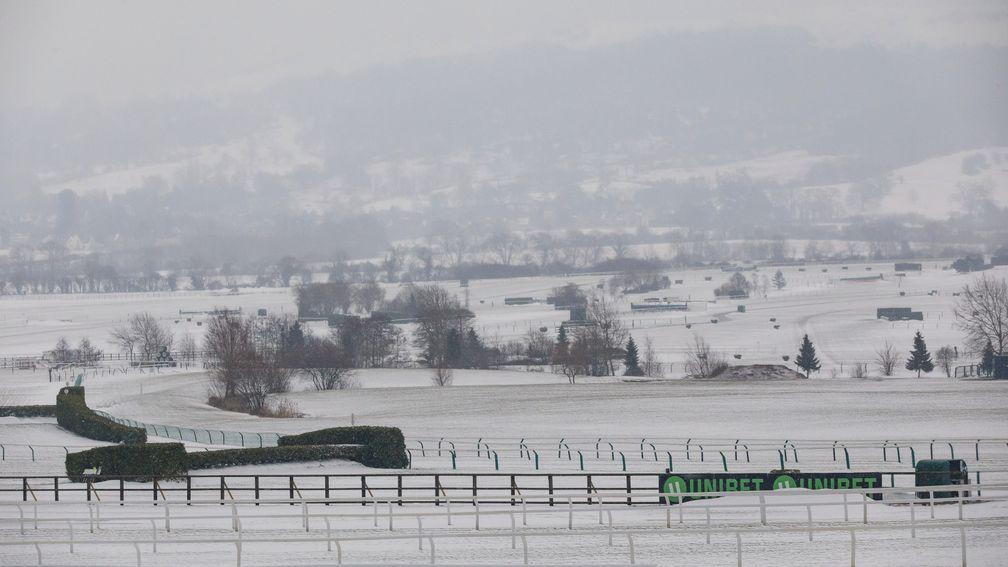 Significant quantities of snow have accumulated around the course at Cheltenham