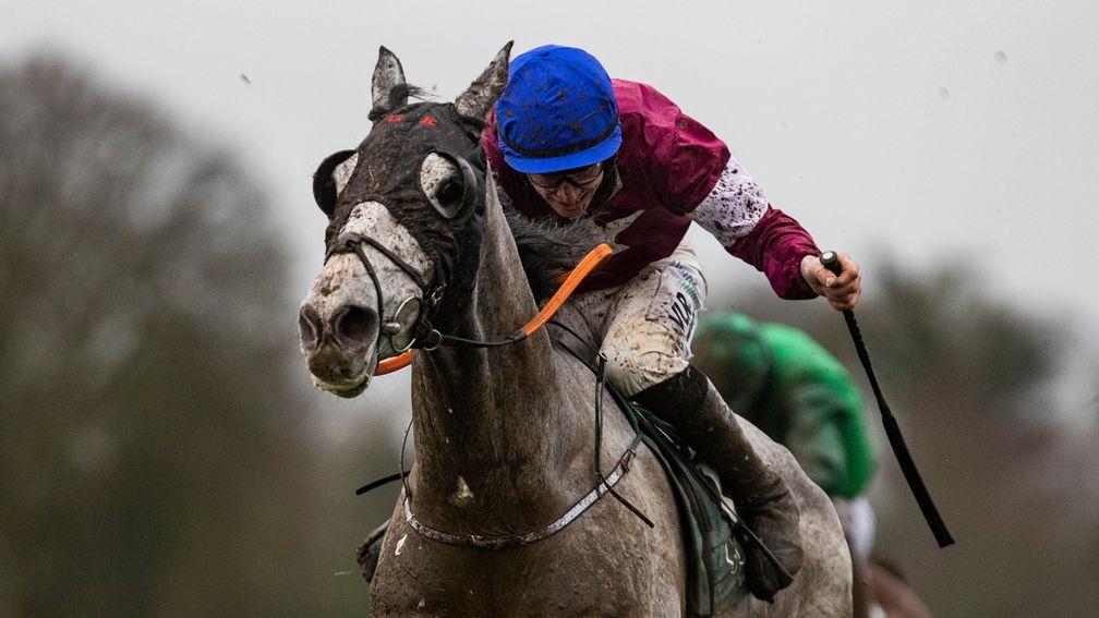 Coko Beach: rated 7lb higher than when decisively landing the 2021 Goffs Thyestes Chase