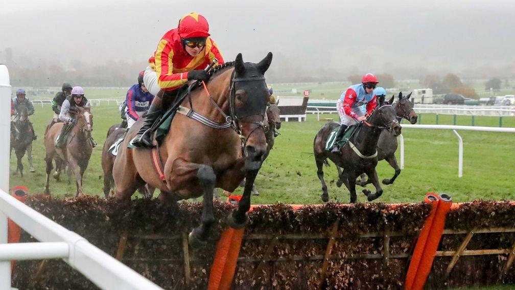 Coole Cody: off since Cheltenham success in November